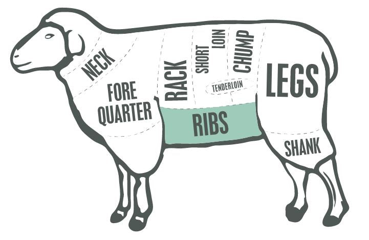 Picture of the different cuts of lamb